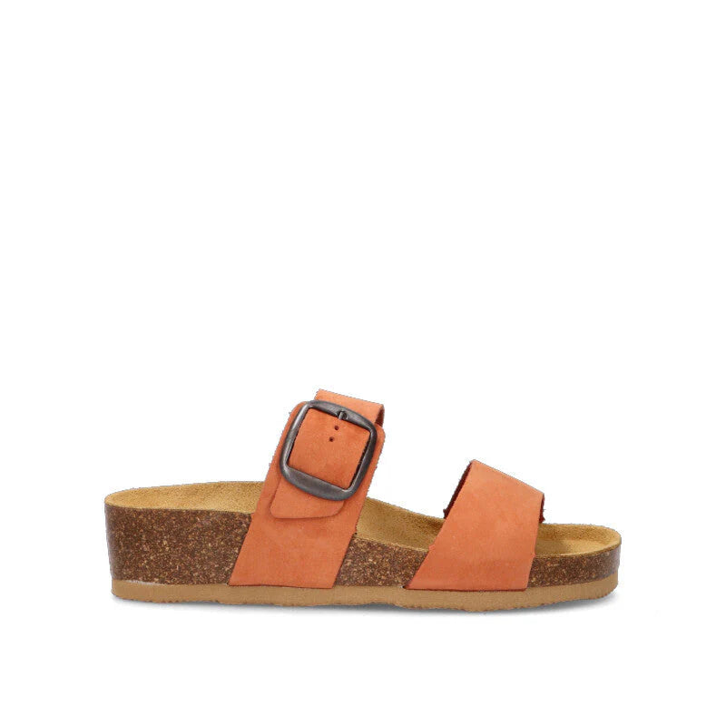 DOREA 416 PAPAYA